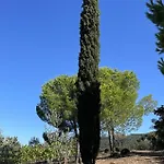 别墅 Il Canto Tra Vigne E Ulivi